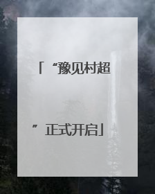 “豫见村超”正式开启