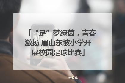 “足”梦绿茵，青春激扬 眉山东坡小学开展校园足球比赛