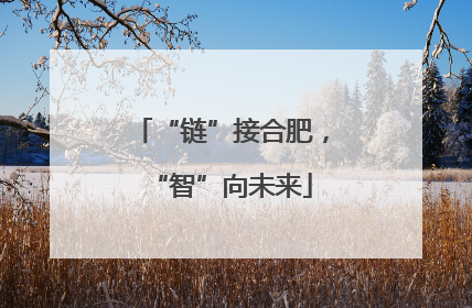“链”接合肥，“智”向未来