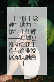 “链上党建”助力“链”上生辉——阜城县推动党建工作与产业发展深度融合