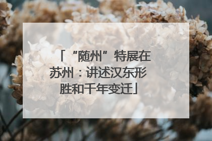 “随州”特展在苏州：讲述汉东形胜和千年变迁