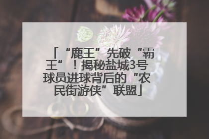 “鹿王”先破“霸王”！揭秘盐城3号球员进球背后的“农民街游侠”联盟