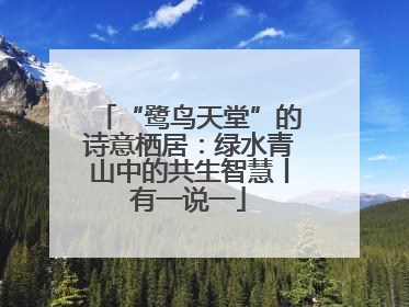 “鹭鸟天堂”的诗意栖居：绿水青山中的共生智慧丨有一说一