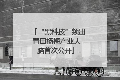 “黑科技”频出 青田杨梅产业大脑首次公开