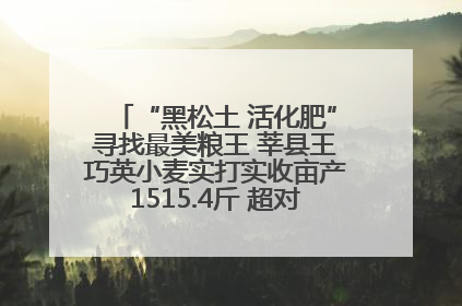 “黑松土 活化肥”寻找最美粮王 莘县王巧英小麦实打实收亩产1515.4斤 超对照田144斤！