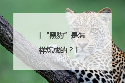 “黑豹”是怎样炼成的？