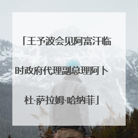 王予波会见阿富汗临时政府代理副总理阿卜杜·萨拉姆·哈纳菲