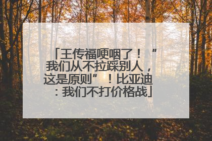 王传福哽咽了！“我们从不拉踩别人，这是原则”！比亚迪：我们不打价格战
