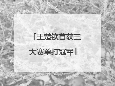 王楚钦首获三大赛单打冠军