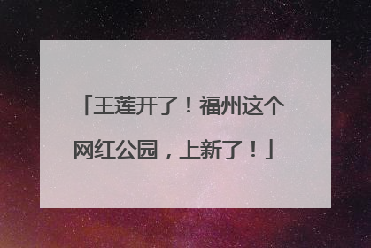 王莲开了！福州这个网红公园，上新了！