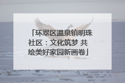 环翠区温泉镇明珠社区：文化筑梦 共绘美好家园新画卷