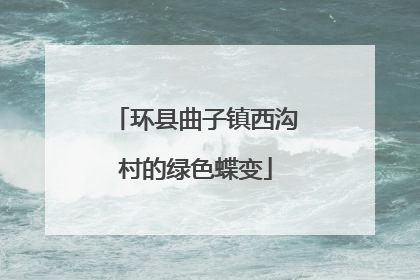 环县曲子镇西沟村的绿色蝶变