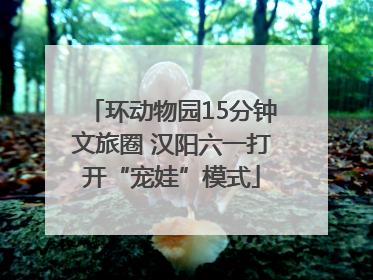 环动物园15分钟文旅圈 汉阳六一打开“宠娃”模式