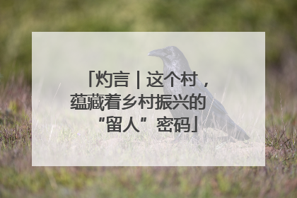 灼言｜这个村，蕴藏着乡村振兴的“留人”密码