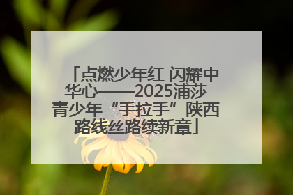 点燃少年红 闪耀中华心——2025浦莎青少年“手拉手”陕西路线丝路续新章