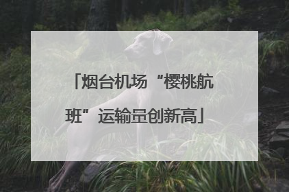 烟台机场“樱桃航班”运输量创新高