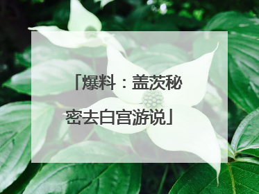 爆料：盖茨秘密去白宫游说