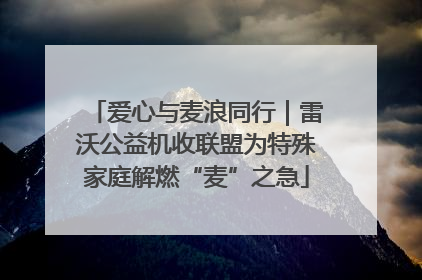 爱心与麦浪同行｜雷沃公益机收联盟为特殊家庭解燃“麦”之急