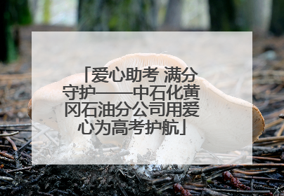 爱心助考 满分守护——中石化黄冈石油分公司用爱心为高考护航