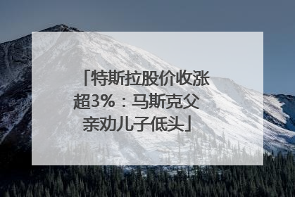 特斯拉股价收涨超3%：马斯克父亲劝儿子低头