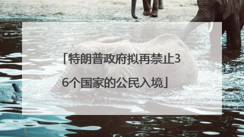 特朗普政府拟再禁止36个国家的公民入境