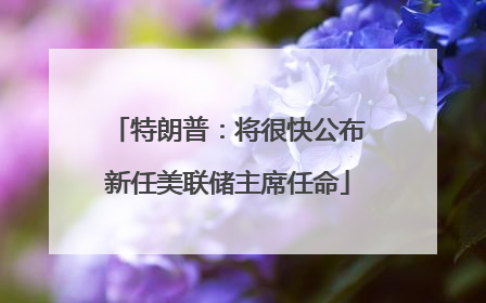 特朗普：将很快公布新任美联储主席任命