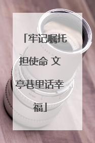 牢记嘱托担使命 文亭巷里话幸福