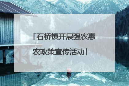 石桥镇开展强农惠农政策宣传活动