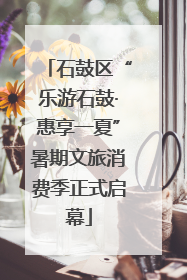 石鼓区“乐游石鼓·惠享一夏”暑期文旅消费季正式启幕
