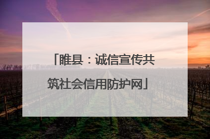 睢县：诚信宣传共筑社会信用防护网