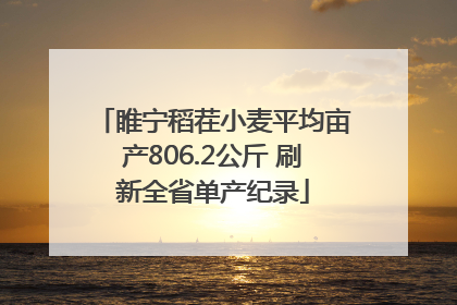 睢宁稻茬小麦平均亩产806.2公斤 刷新全省单产纪录