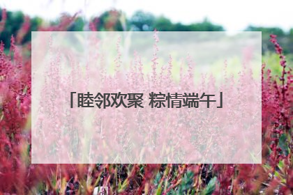 睦邻欢聚 粽情端午