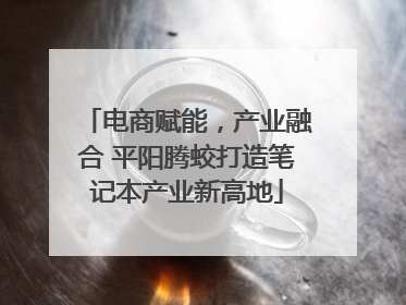 电商赋能，产业融合 平阳腾蛟打造笔记本产业新高地