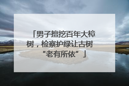 男子擅挖百年大樟树，检察护绿让古树“老有所依”