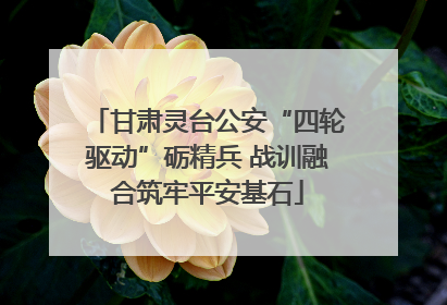 甘肃灵台公安“四轮驱动”砺精兵 战训融合筑牢平安基石