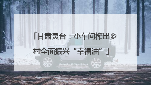 甘肃灵台：小车间榨出乡村全面振兴“幸福油”