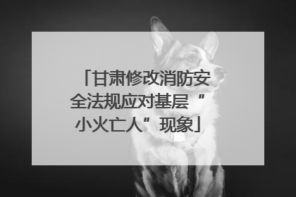 甘肃修改消防安全法规应对基层“小火亡人”现象
