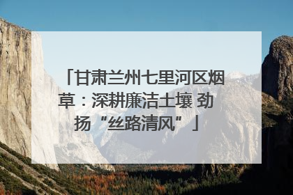 甘肃兰州七里河区烟草：深耕廉洁土壤 劲扬“丝路清风”