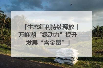 生态红利持续释放丨万峰湖“绿动力”提升发展“含金量”