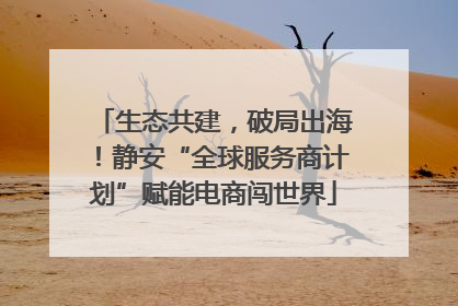 生态共建，破局出海！静安“全球服务商计划”赋能电商闯世界