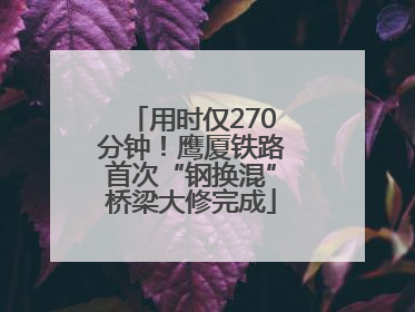 用时仅270分钟！鹰厦铁路首次“钢换混”桥梁大修完成