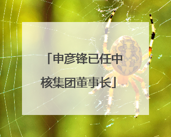 申彦锋已任中核集团董事长