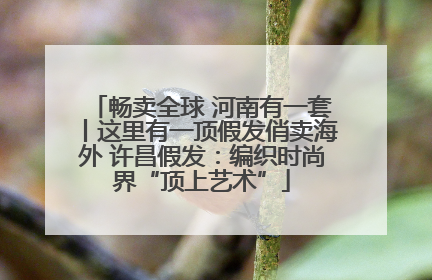 畅卖全球 河南有一套丨这里有一顶假发俏卖海外 许昌假发：编织时尚界“顶上艺术”