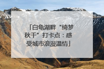 白龟湖畔“绮梦秋千”打卡点：感受城市浪漫温情