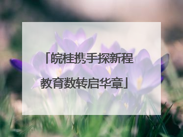 皖桂携手探新程 教育数转启华章