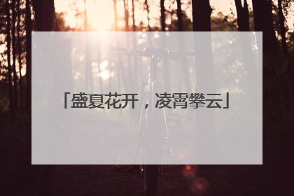 盛夏花开，凌霄攀云