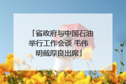 省政府与中国石油举行工作会谈 毛伟明戴厚良出席