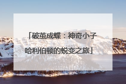 破茧成蝶：神奇小子哈利伯顿的蜕变之旅