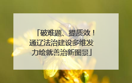 破难题、提质效！通辽法治建设多维发力绘就善治新图景