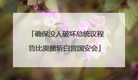 确保没人破坏总统议程 鲁比奥腰斩白宫国安会